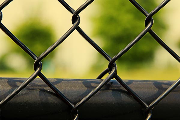 Chainlink fence in Parkland