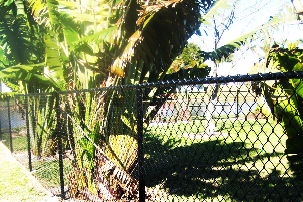 Chainlink Fence installation broward county